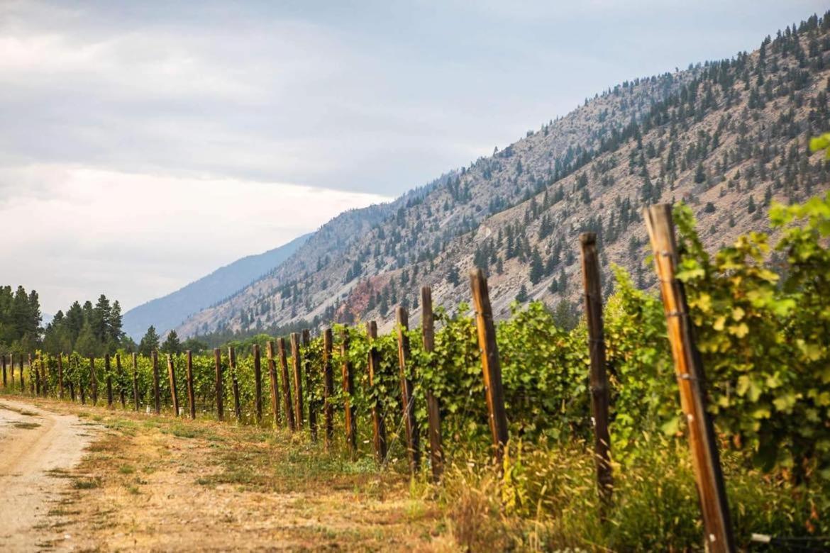 Similkameen Wild Resort & Winery Retreat اوسويوس المظهر الخارجي الصورة
